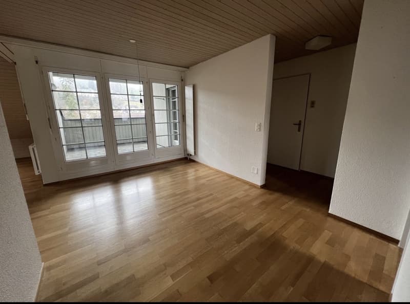 3.5 apartment near Airport (3)