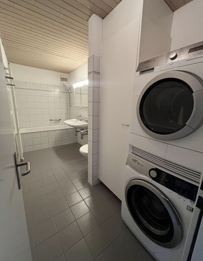 3.5 apartment near Airport (9)