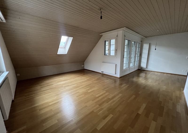 3.5 apartment near Airport (1)