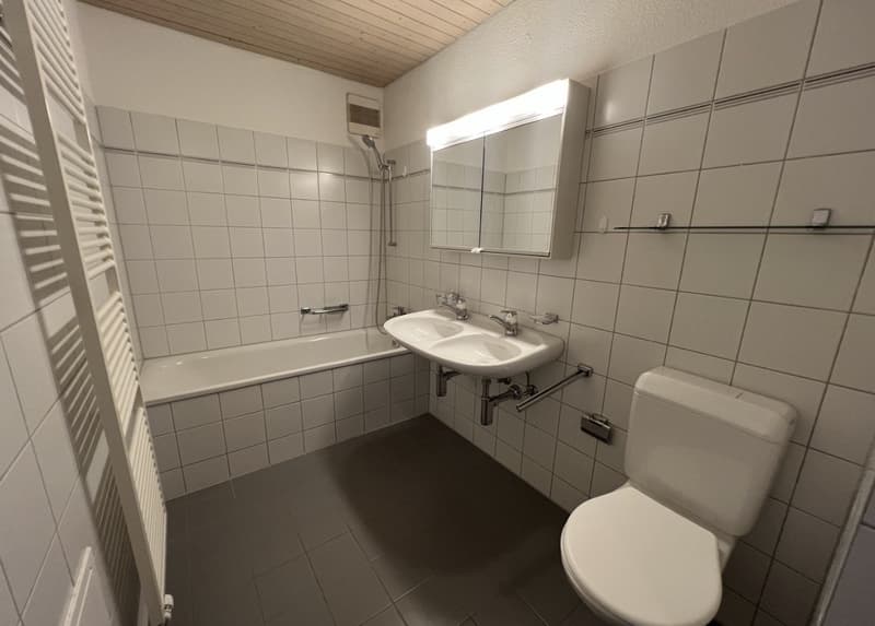 3.5 apartment near Airport (6)