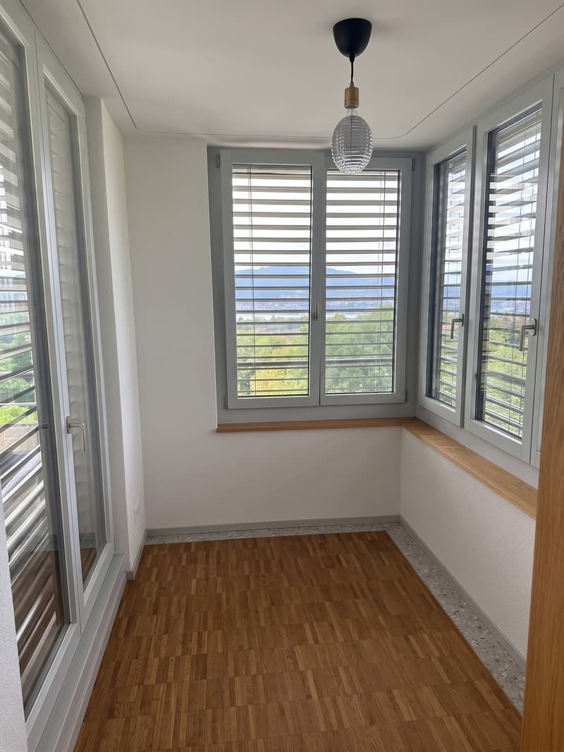 2.5 rooms with lake & Uetliberg views in Witikon Kreis 7 (9)
