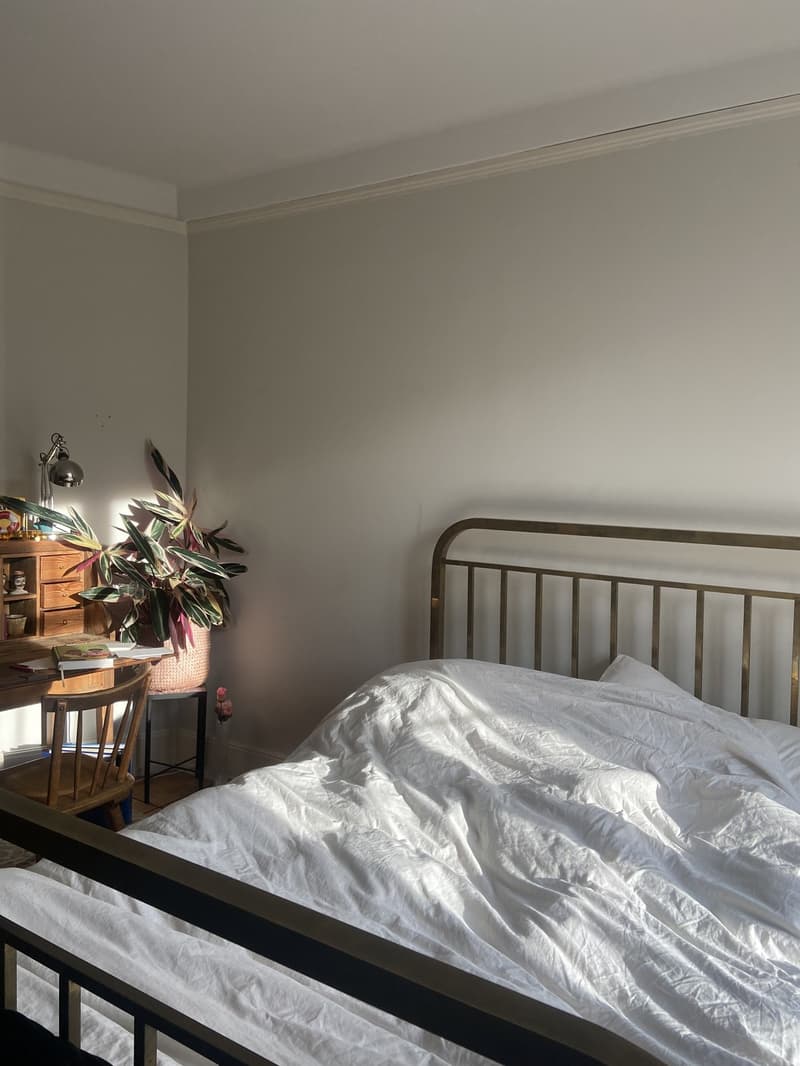 WG-Zimmer zu vermieten | schöne, grosse Altbauwohnung in St.Gallen (5)