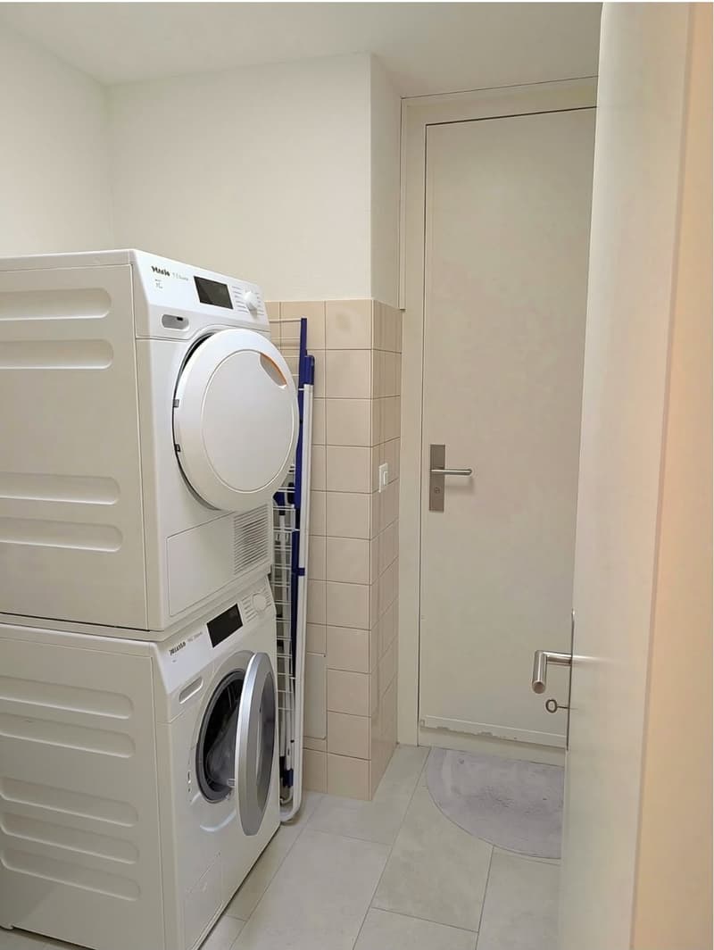 Exklusive 3.5-Zimmer-Attikawohnung mit 123 m² Sonnenterrasse und traumhafter Seesicht (9)