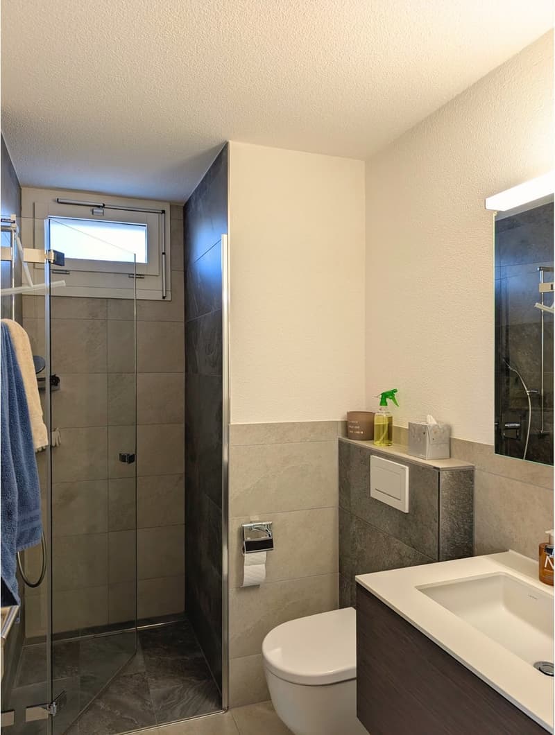 Exklusive 3.5-Zimmer-Attikawohnung mit 123 m² Sonnenterrasse und traumhafter Seesicht (8)
