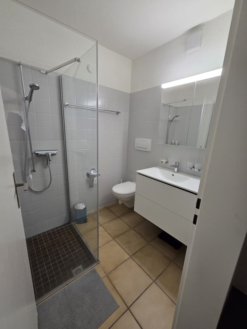 4.5-Zimmer Attikawohnung in Bülach - mit grosser Terasse & Wintergarten (8)