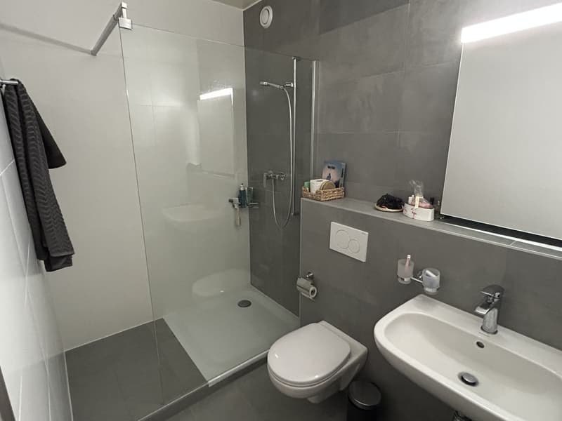 Appartement lumineux de 2 pièces au cur de Lausanne (8)