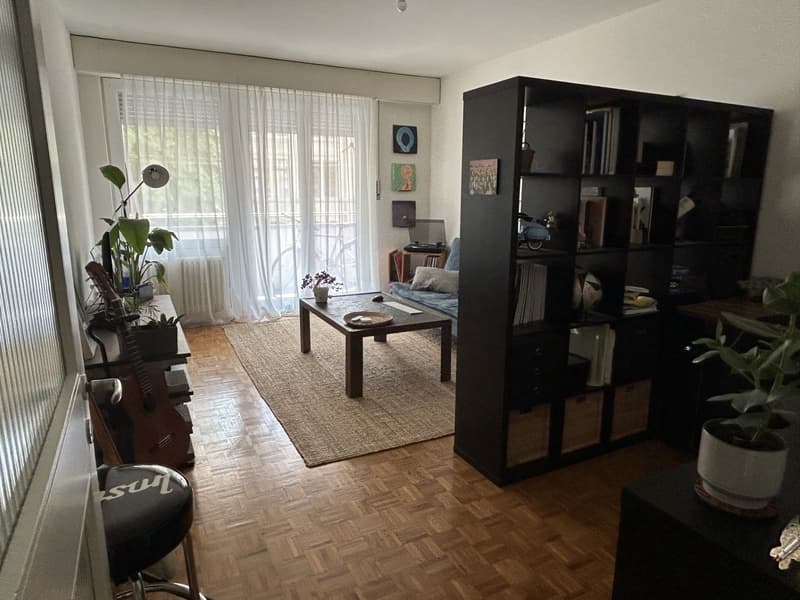 Appartement lumineux de 2 pièces au cur de Lausanne (2)