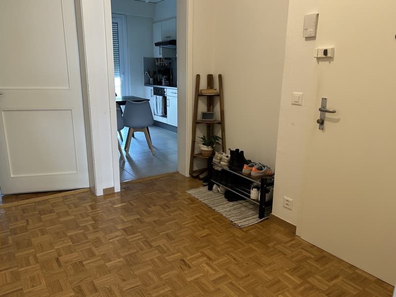 Appartement lumineux de 2 pièces au cur de Lausanne (5)