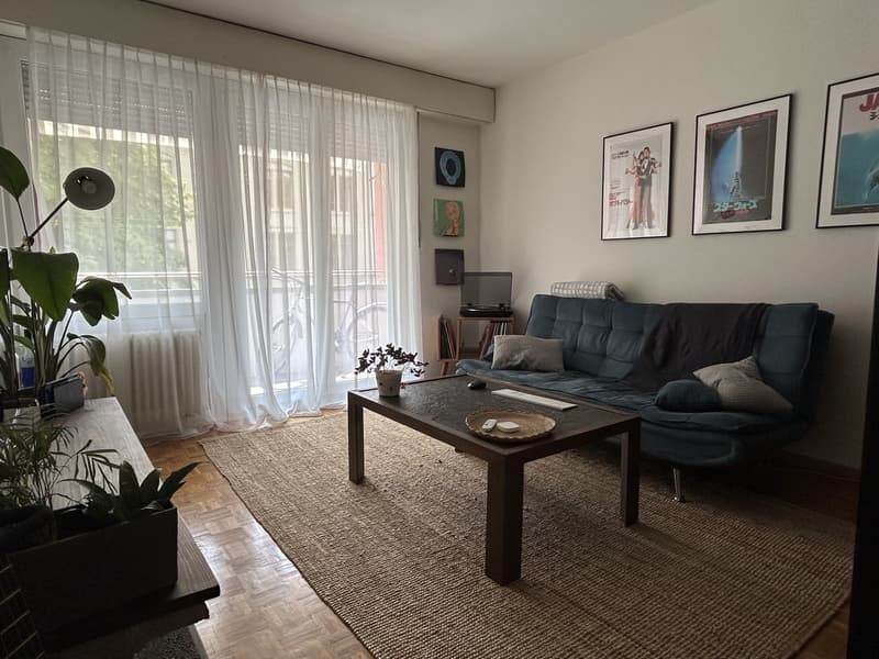 Appartement lumineux de 2 pièces au cur de Lausanne (1)