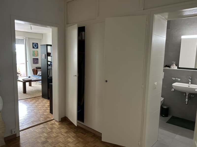 Appartement lumineux de 2 pièces au cur de Lausanne (4)