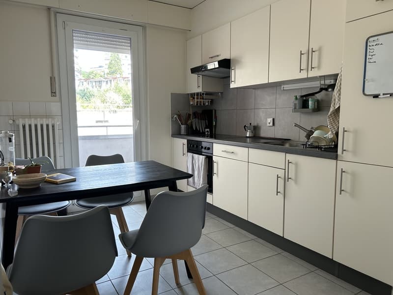 Appartement lumineux de 2 pièces au cur de Lausanne (6)