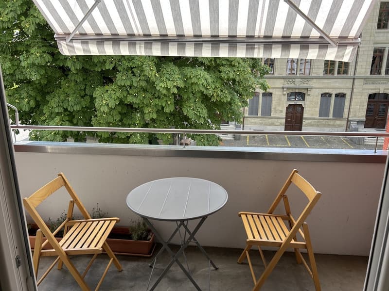 Appartement lumineux de 2 pièces au cur de Lausanne (3)