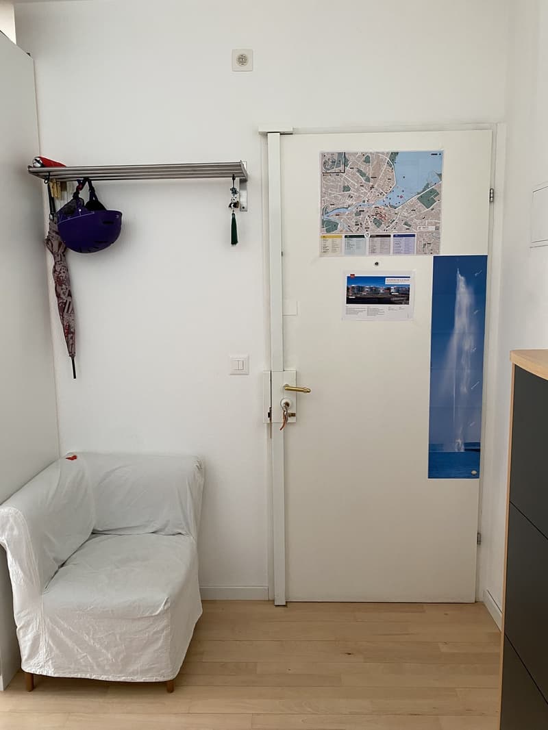 Lumineux appartement 2 pièce renouvelé (9)