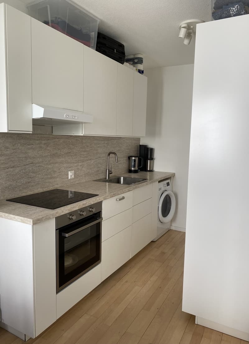 Lumineux appartement 2 pièce renouvelé (4)
