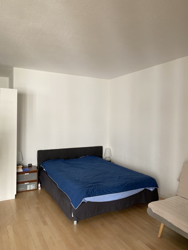 Lumineux appartement 2 pièce renouvelé (10)