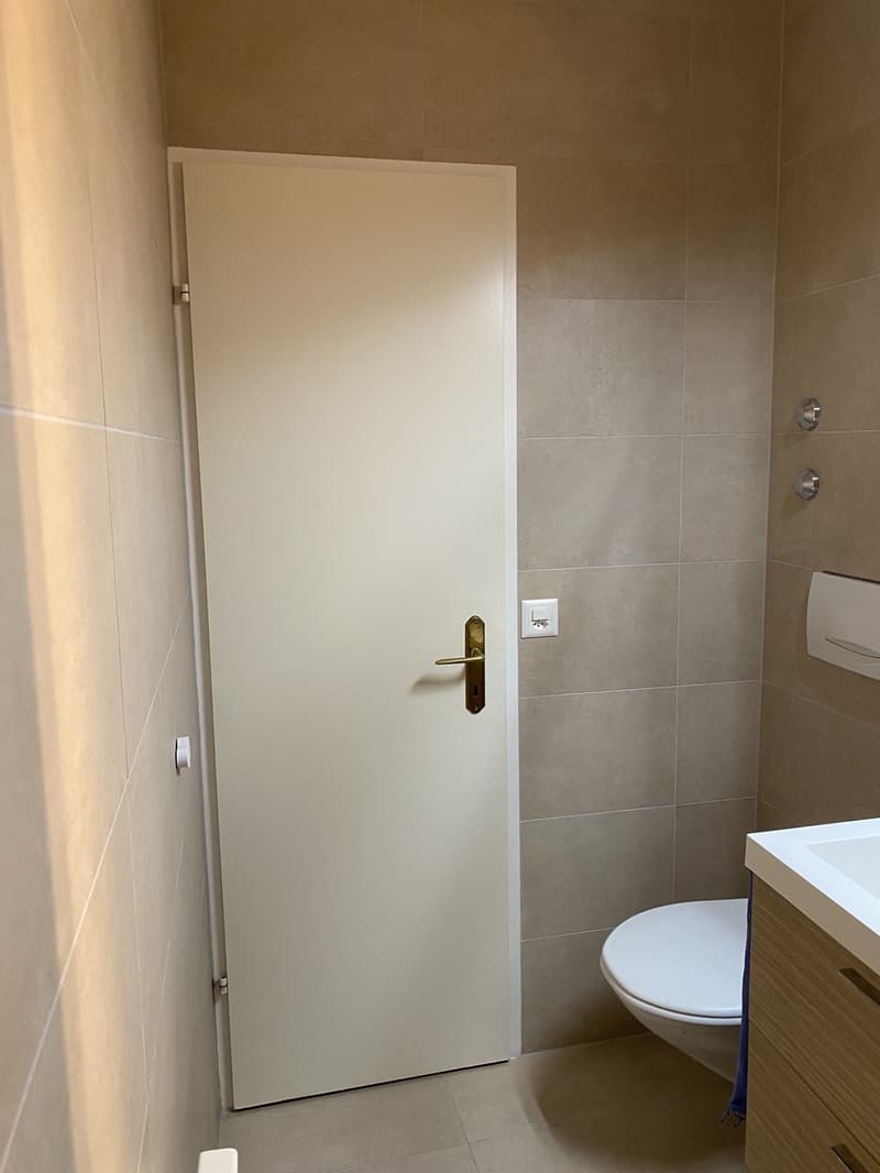 Lumineux appartement 2 pièce renouvelé (7)