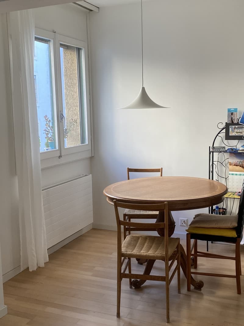 Lumineux appartement 2 pièce renouvelé (2)