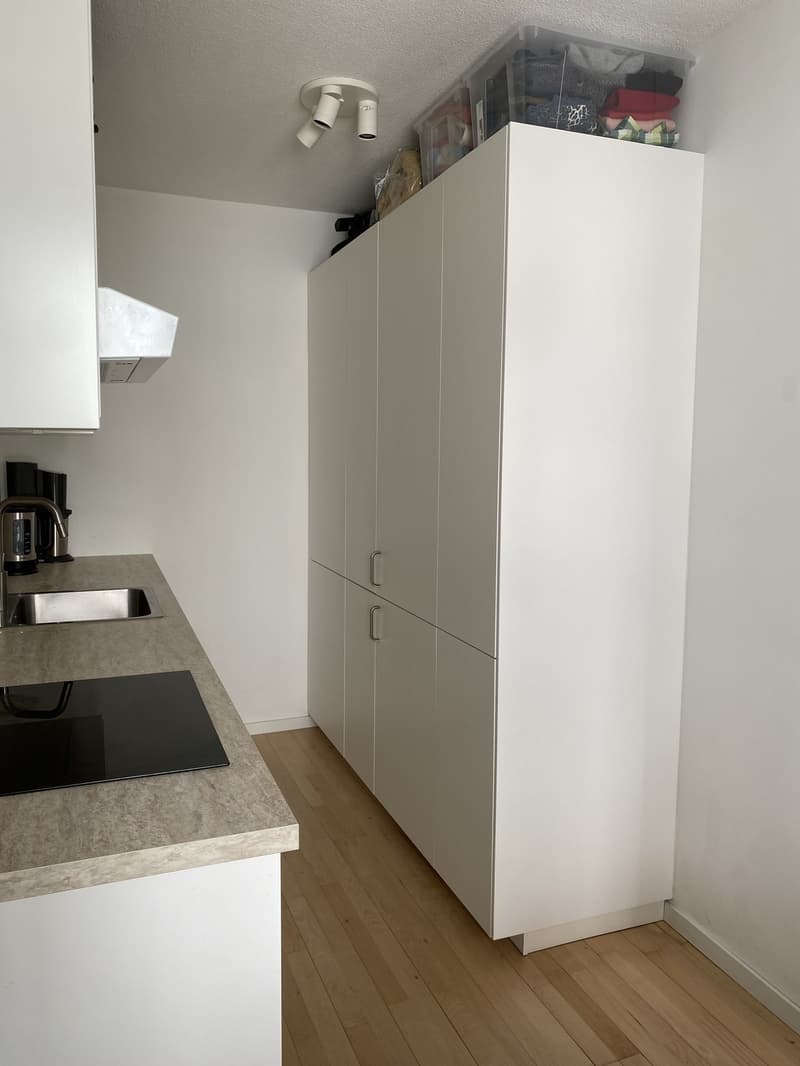 Lumineux appartement 2 pièce renouvelé (6)