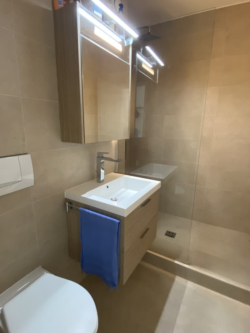 Lumineux appartement 2 pièce renouvelé (5)