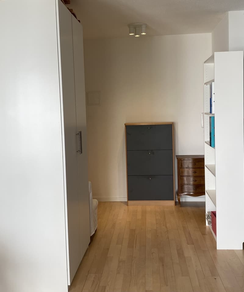 Lumineux appartement 2 pièce renouvelé (3)