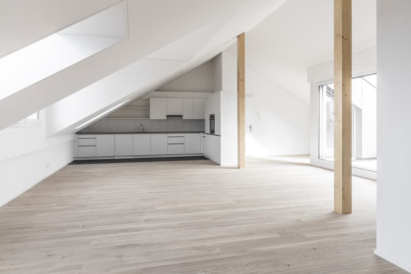 2 1/2 Zimmer Dachwohnung (5)