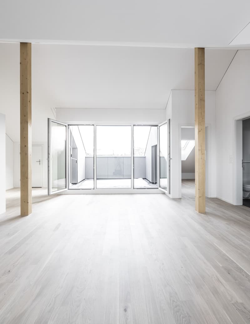 2 1/2 Zimmer Dachwohnung (7)