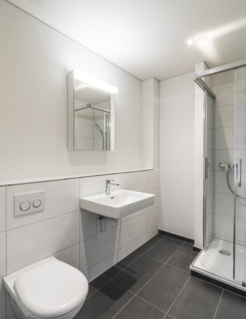 2 1/2 Zimmer Dachwohnung (4)