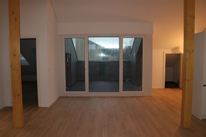 2 1/2 Zimmer Dachwohnung (9)