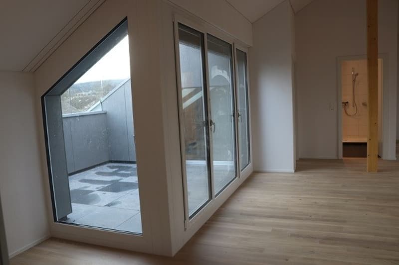 2 1/2 Zimmer Dachwohnung (8)