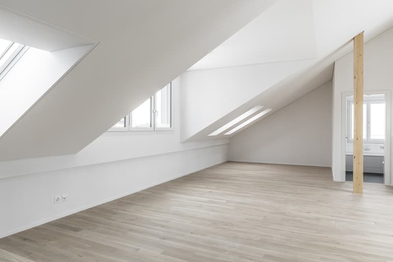 2 1/2 Zimmer Dachwohnung (2)