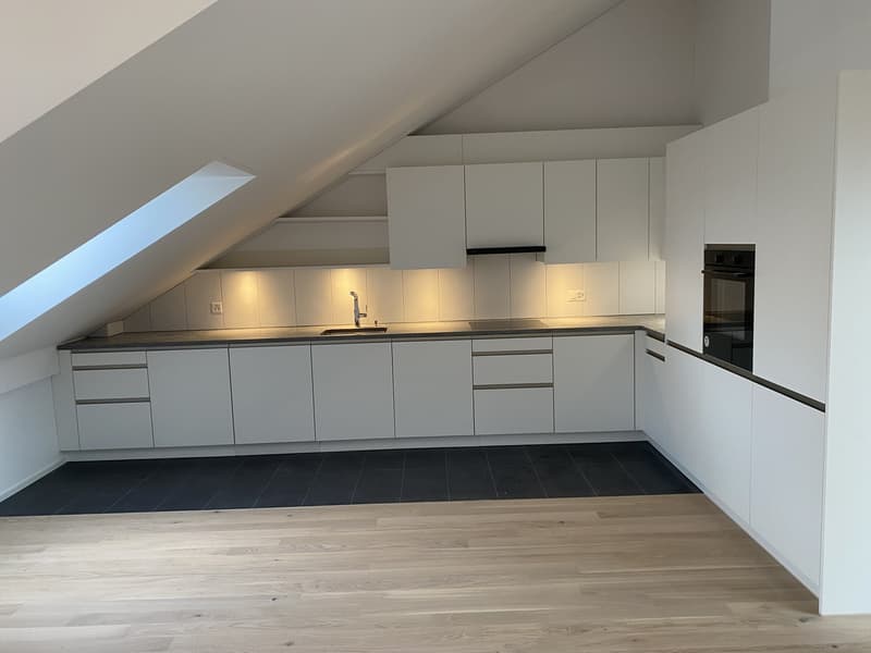 2 1/2 Zimmer Dachwohnung (10)