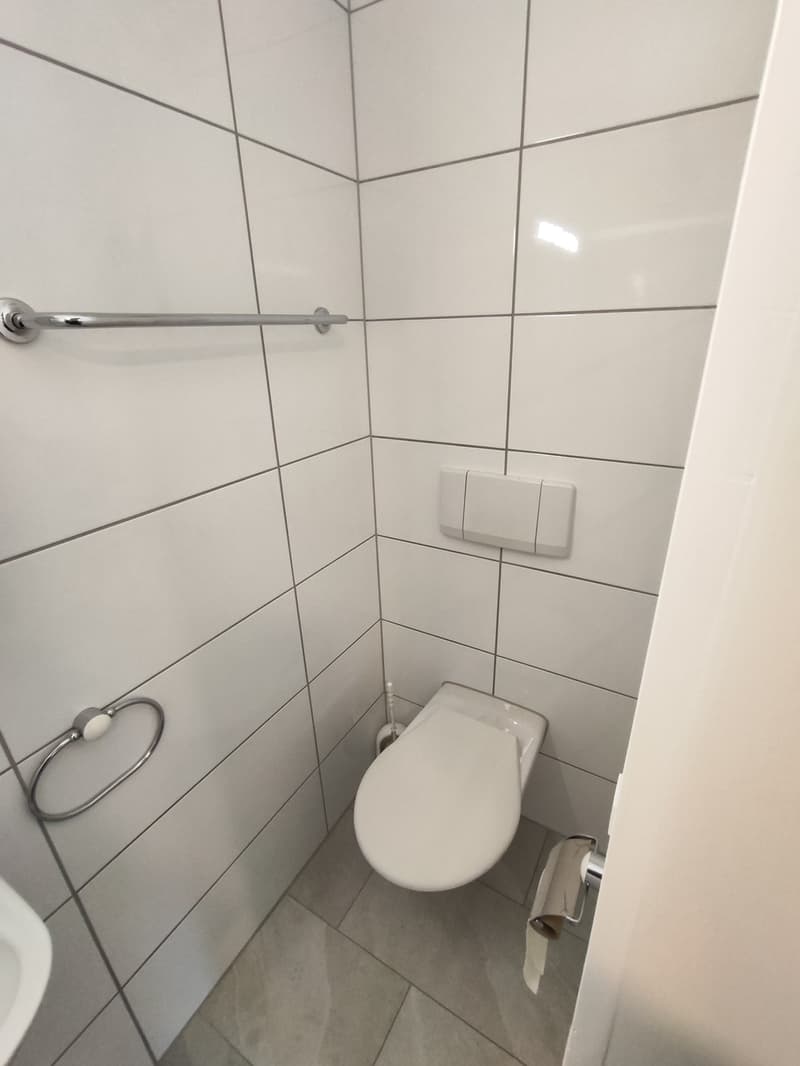 Ein-Zimmer-Wohnung mit zwei Hobbyräumen in Zürich-Oerlikon (3)