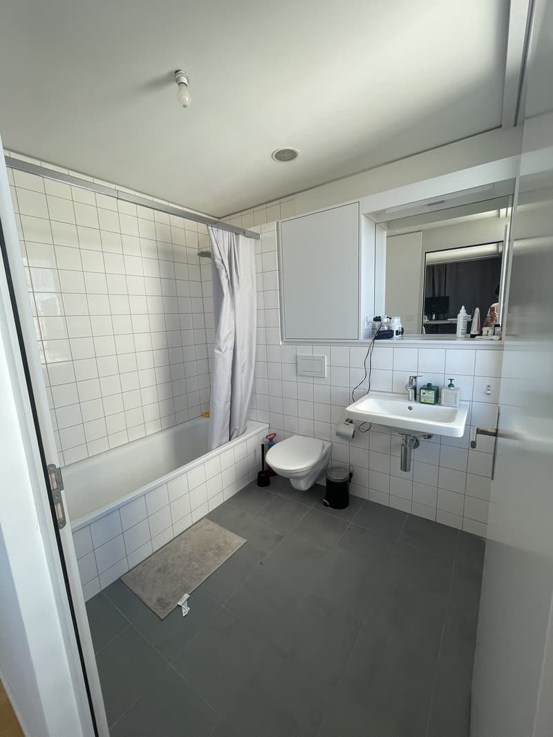 Helle 3.5-Zimmer-Wohnung, 92 m² 10. Stock (10)