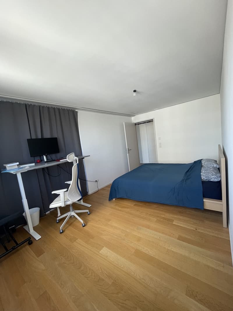 Helle 3.5-Zimmer-Wohnung, 92 m² 10. Stock (11)