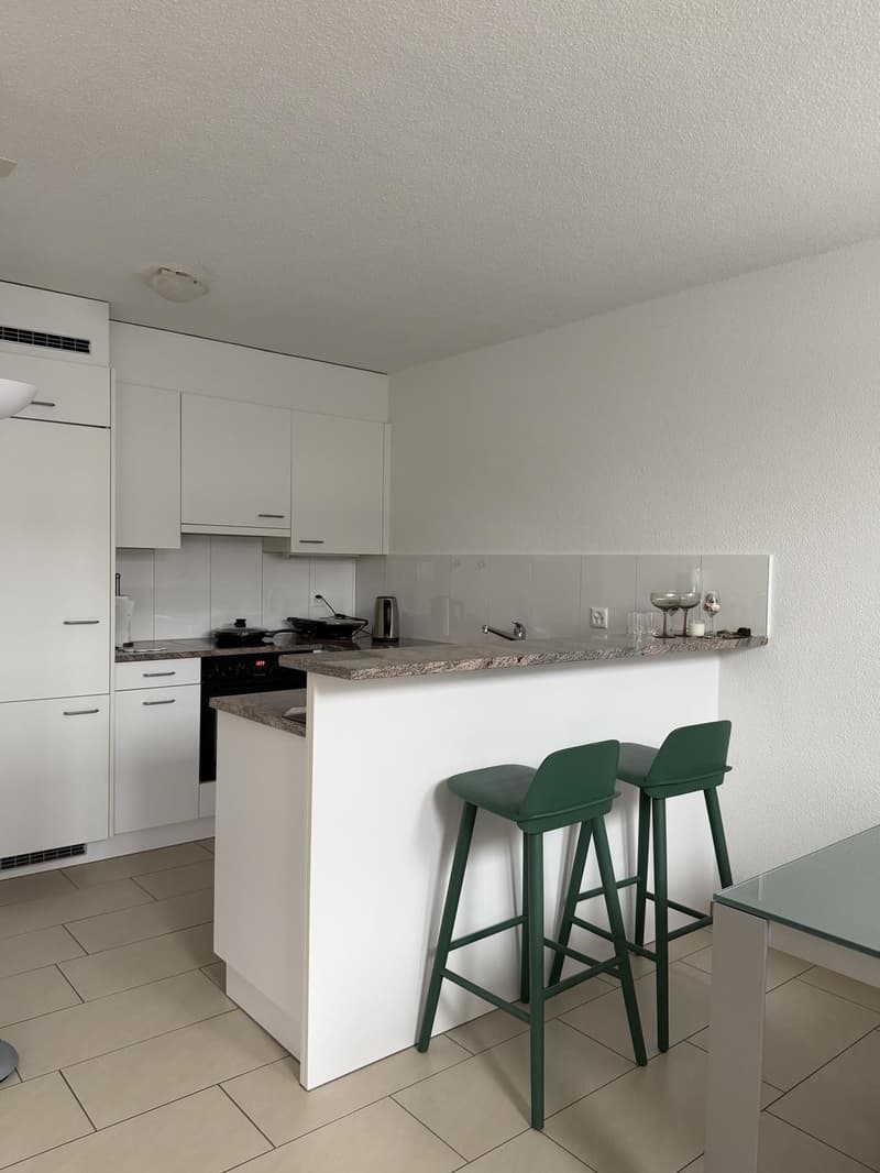 untermiete die Wohnung für November oder Dezember-Januar (1)