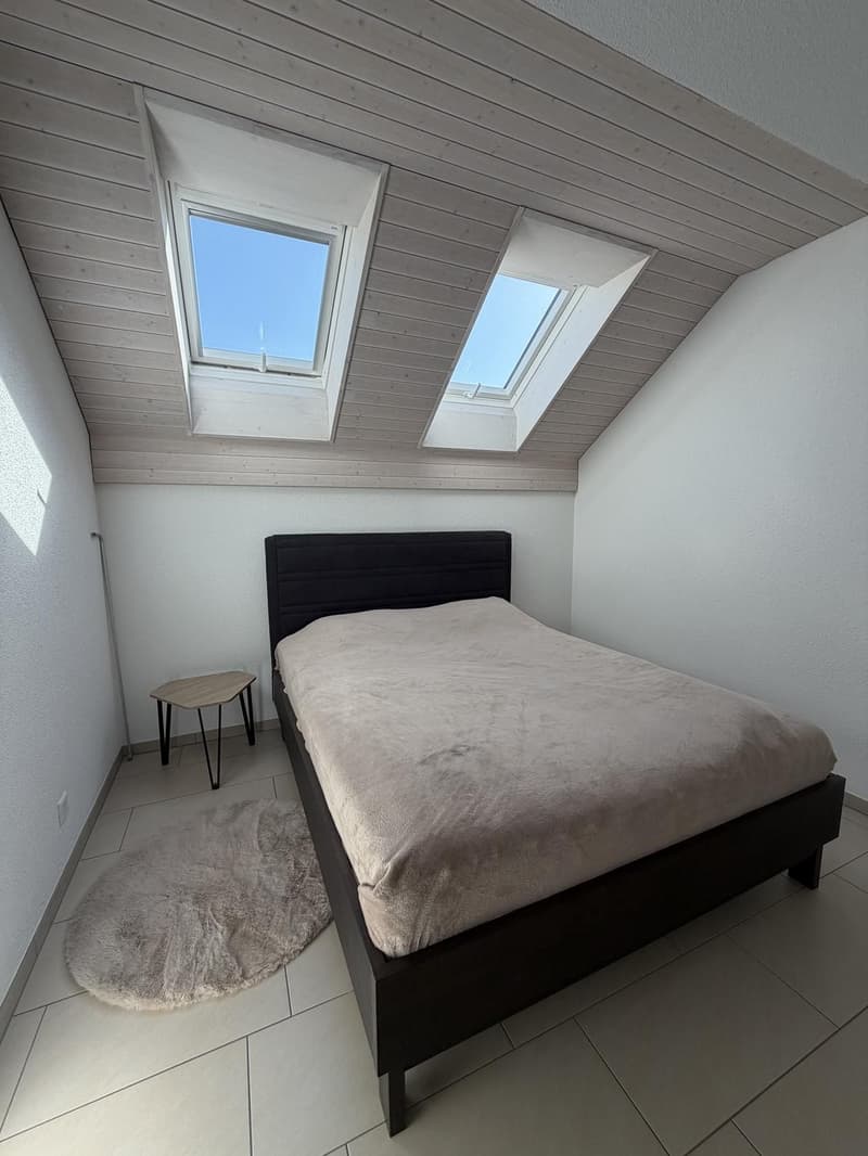 untermiete die Wohnung für November oder Dezember-Januar (9)