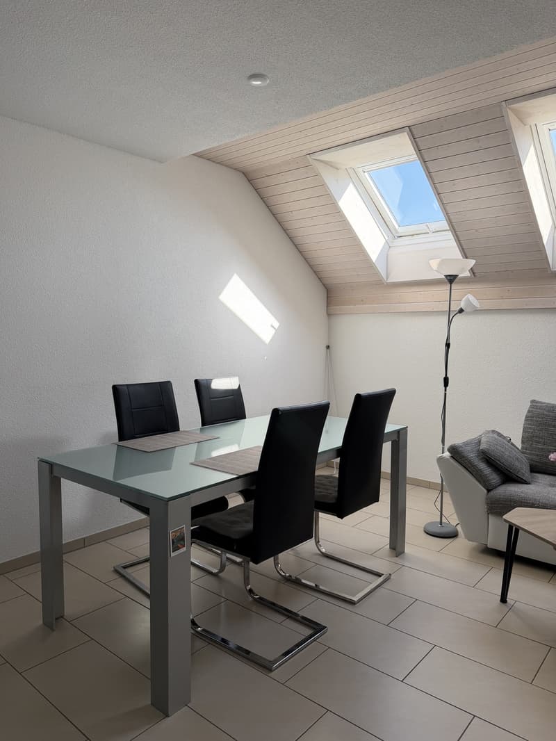 untermiete die Wohnung für November oder Dezember-Januar (3)
