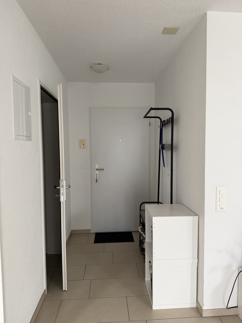 untermiete die Wohnung für November oder Dezember-Januar (7)