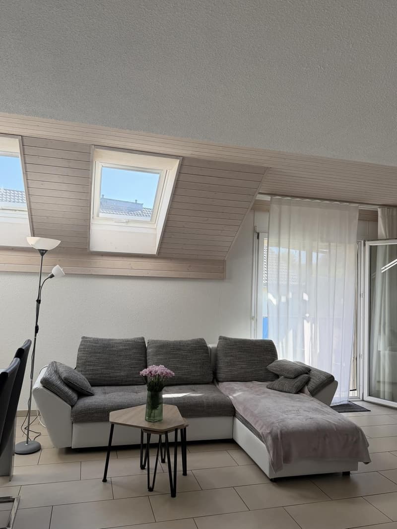 untermiete die Wohnung für November oder Dezember-Januar (5)