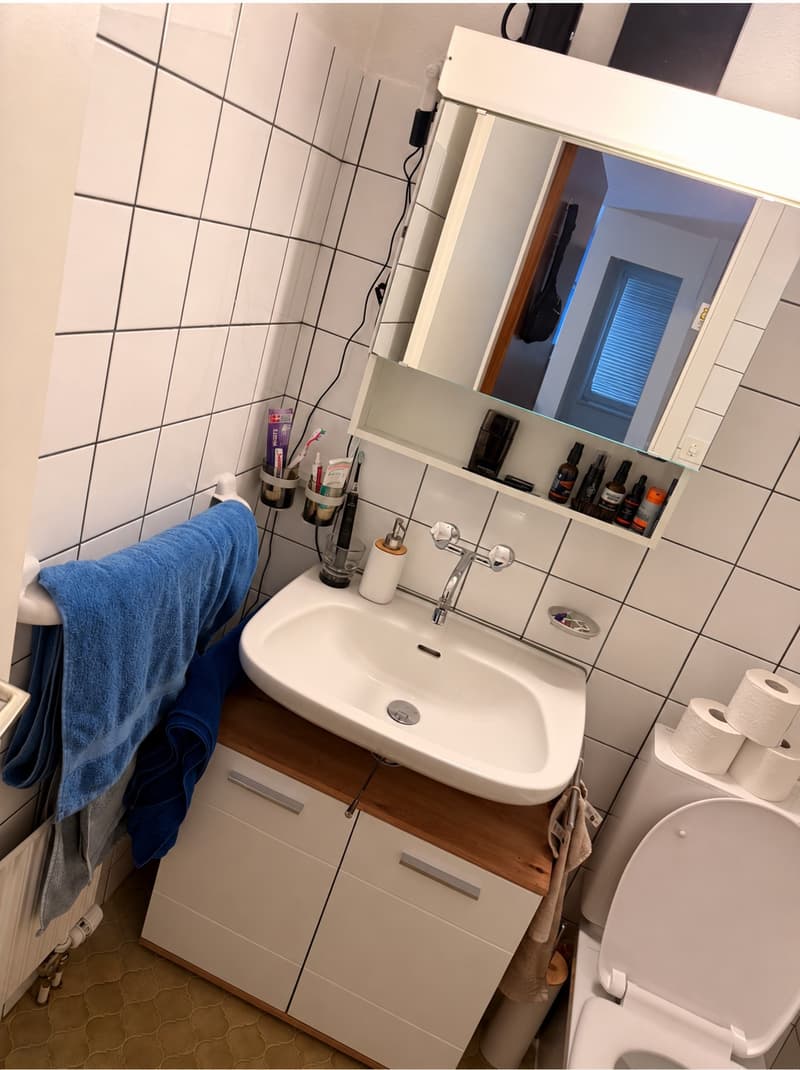 Helle und geräumige 2.5-Zimmer-Wohnung in Thun mit Bergsicht (7)