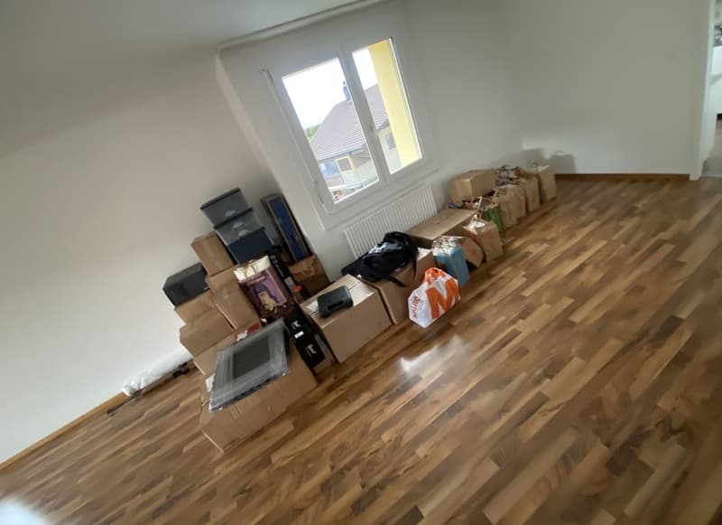 Helle und geräumige 2.5-Zimmer-Wohnung in Thun mit Bergsicht (3)