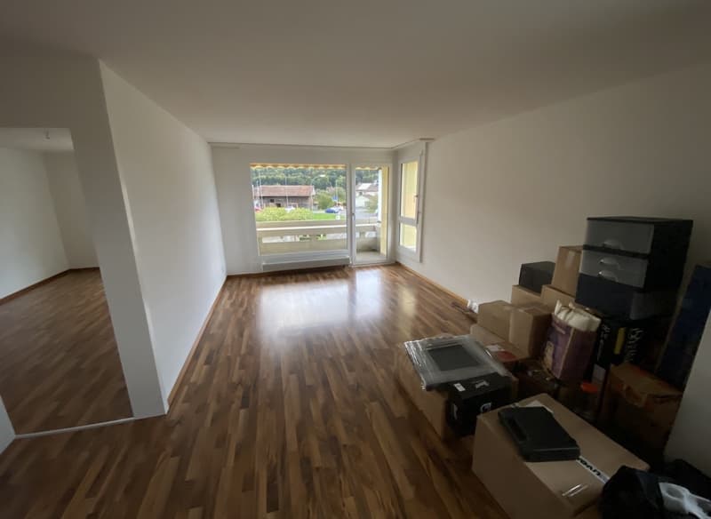 Helle und geräumige 2.5-Zimmer-Wohnung in Thun mit Bergsicht (4)
