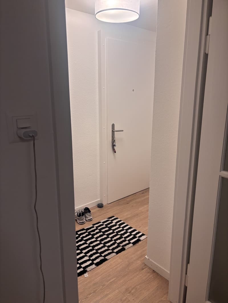 1-Zimmerwohnung in Luzern (6)