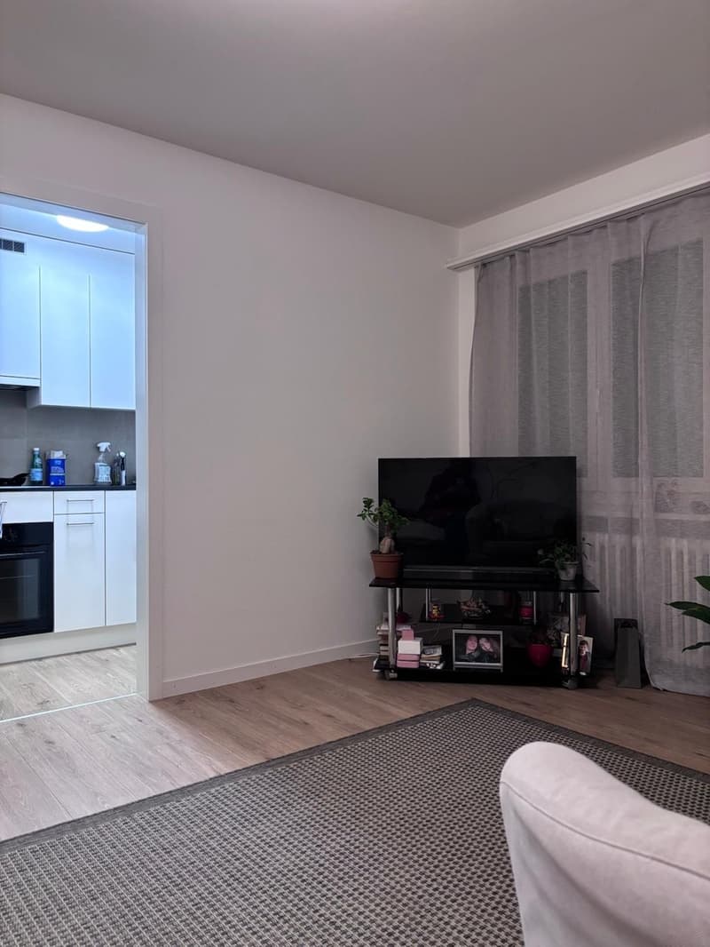 1-Zimmerwohnung in Luzern (2)