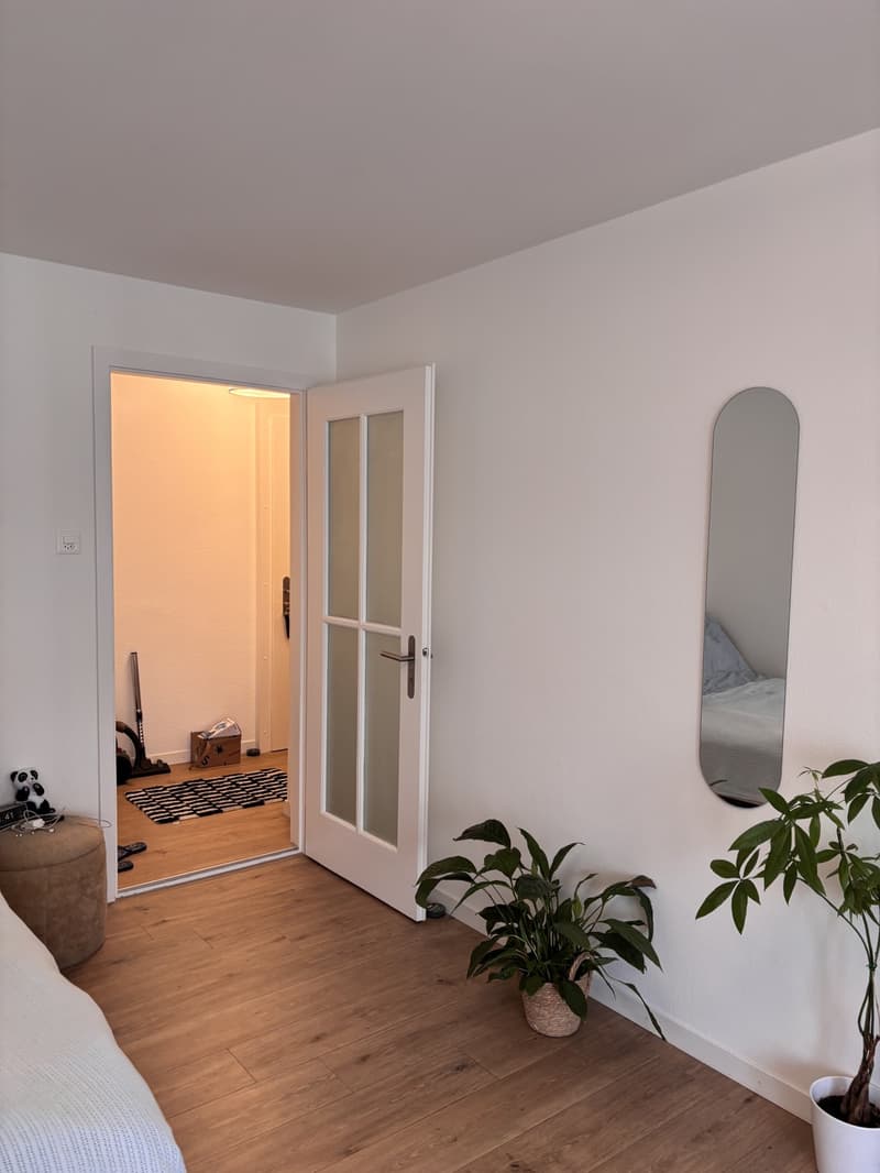 1-Zimmerwohnung in Luzern (4)