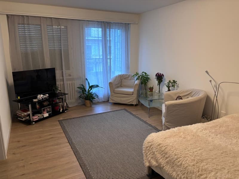 1-Zimmerwohnung in Luzern (1)