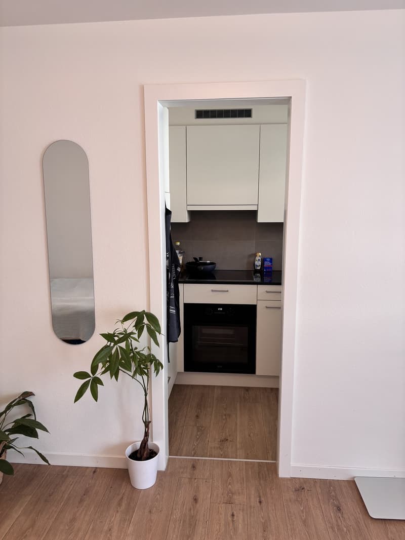 1-Zimmerwohnung in Luzern (5)