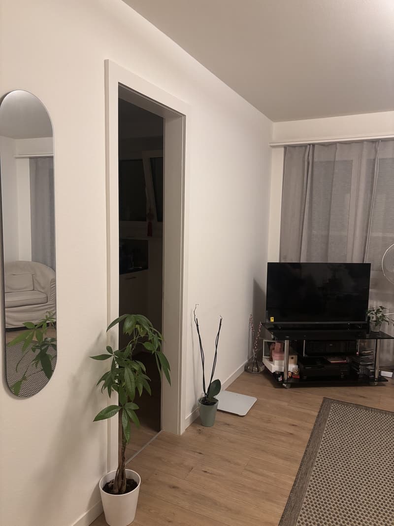 1-Zimmerwohnung in Luzern (9)