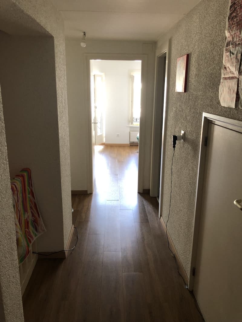 Grand 3.5 pièces en plein centre sur 2 étages, reprise de bail (6)
