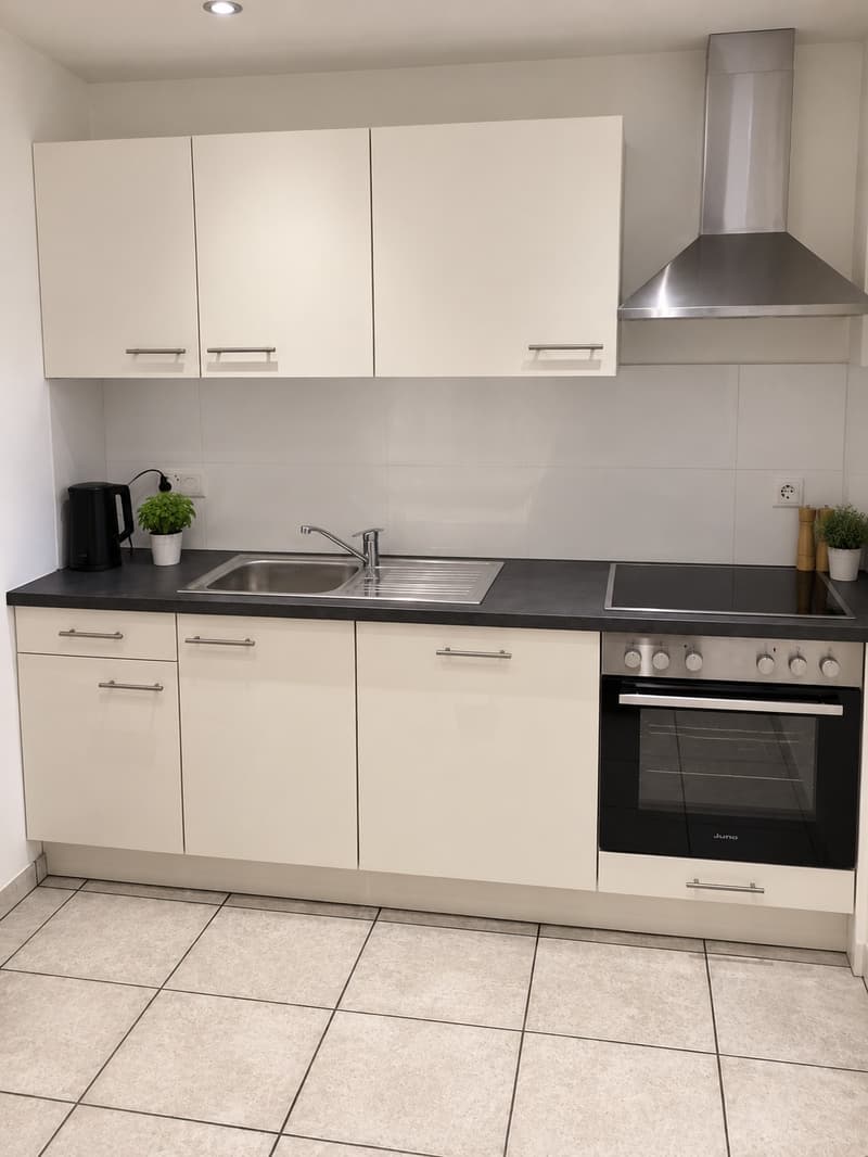 Schöne 2,5-Zimmer-Erdgeschosswohnung in Kriens (3)